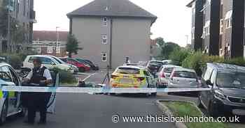 Briar Road, Harold Hill, Romford: Man in his 20s stabbed