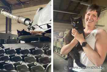Kater Leo beschermt tanks tegen muizen: “Hij waakt hier over 120 stuks zwaar geschut”