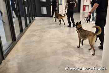 Lokale politie vindt bij zeven gedetineerden drugs tijdens controle in de gevangenis