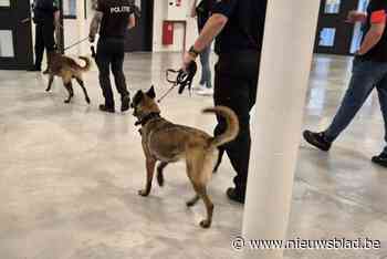 Lokale politie vindt bij zeven gedetineerden drugs tijdens controle in gevangenis