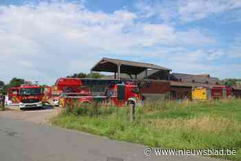 Stal met 70 varkens vat vuur: enkele dieren overleven het niet
