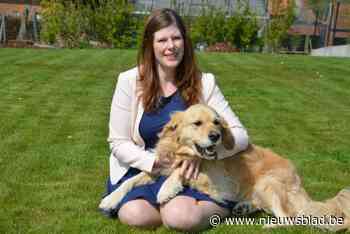 Oppositiepartij Lierde RechtUit: “Oproep voor dierenwelzijnsraad in Lierde too little, too late”