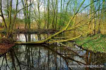 Trage weg aan Klimaatbos tijdelijk afgesloten na windschade aan bomen