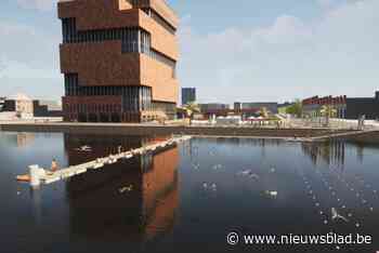 Antwerps Bonapartedok wordt zeven zondagen unieke zwemplek: “Voor het eerst in 200 jaar een volwaardig zwemdok”