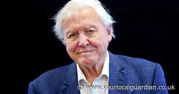 Sir David Attenborough to release new film about oceans