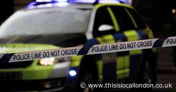 Whitechapel protest sees police officers injured and cars damaged