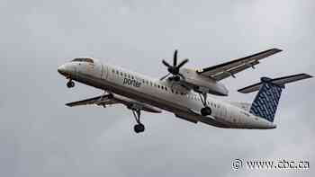 Porter flights cancelled, but Thunder Bay police, hospital, city services not affected by global IT outage