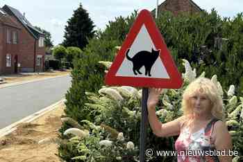 Ligt er gif in Lummense buurt? Twee katten overleden met blauwe tong en gehemelte
