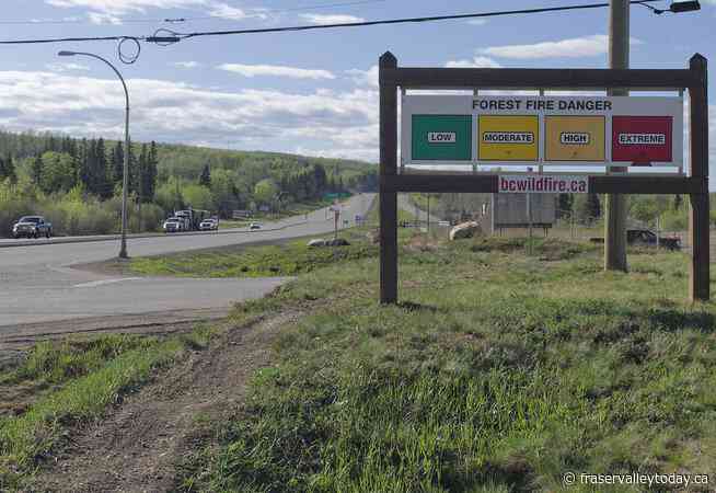 More than 250 wildfires in B.C. as hot and dry weather persists