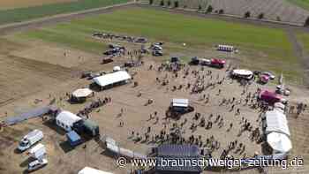 Ackerfest: So wird das Punk-Festival im Kreis Wolfenbüttel