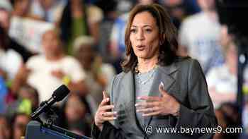 Majority of Democrats think Kamala Harris would make a good president, AP-NORC poll shows