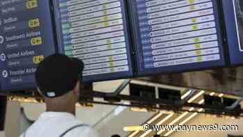 Faulty software update causes havoc worldwide for airlines, hospitals and governments