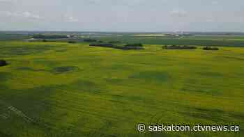 Sask. farmers says weigh the 'pros and cons' to soaring land prices