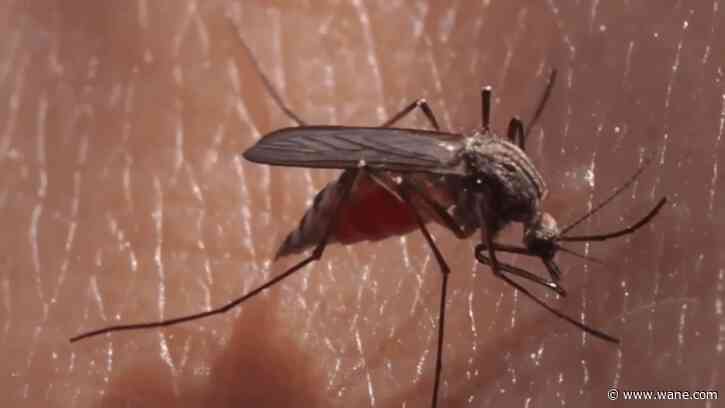 West Nile found in mosquitoes in Steuben County