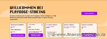 Haben Anleger mit diesem Coin jetzt die Chance auf x50?