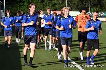 Olympia Wijgmaal wil met meer inbreng van de jeugd succesvol vijfjarenplan realiseren: “Ten alle kosten een minder seizoen voorkomen”