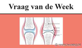 Antwoord: welk woord hoort op de puntjes?