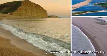 Why the Jurassic Coast here in Dorset is so special