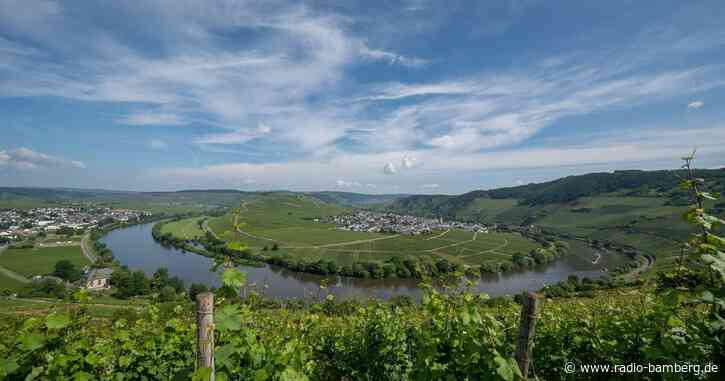Drohne beschädigt Stromleitung und stürzt in Weinberg