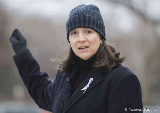 Gun-control group fears Liberals have ‘abandoned’ efforts on assault-style firearms