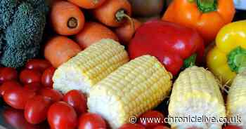 North Tyneside Council called on to reduce food-related carbon footprint