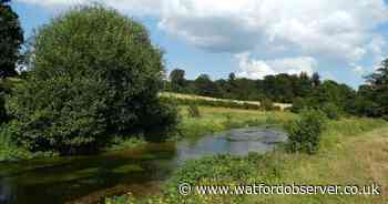 Wildlife charity launches £280,000 fundraising campaign