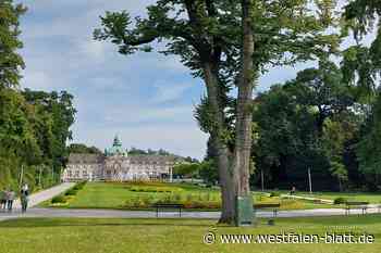 Stadt und Staatsbad halten an verstärktem Sicherheitsdienst fest