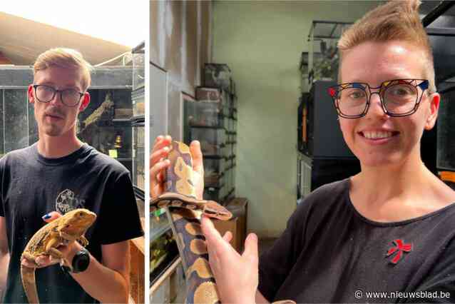 Grote belangstelling voor adoptiedag in overvol opvangcentrum voor reptielen: “Speciaal terrarium gebouwd om koningspython te kunnen adopteren”