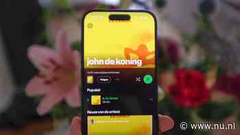 Nieuw Nederlandstalig zomerhitje is 94 procent zeker nep