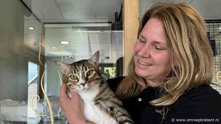 Als de baas van huis is, zit Luciennes poezenhotel volgeboekt