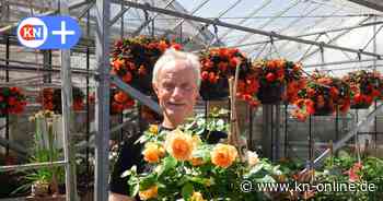 Lütjenburg: Original Jochen Sauvant hält Gärtnerei Möller die Treue