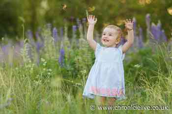 Experts issue seven essential tips to stop babies overheating in summer weather