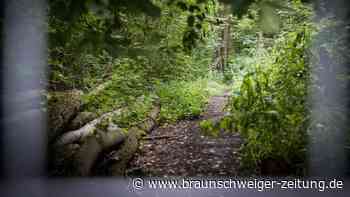 Im Harz: Zwei Morde im Wald innerhalb von 30 Jahren?