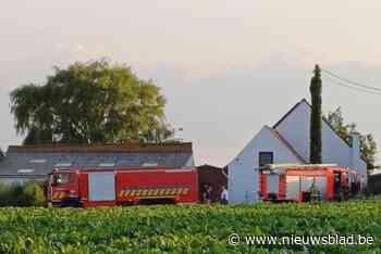 Afvalbrandjes snel geblust