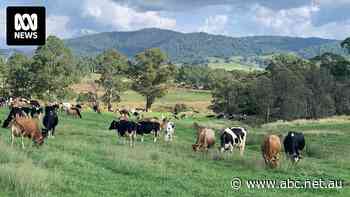 Can Bega be the first shire in Australia to have a low-emission, sustainable circular economy?