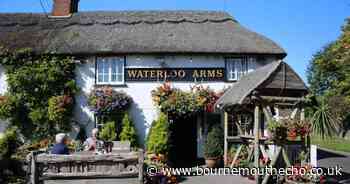Pub of the Week: The Waterloo Arms