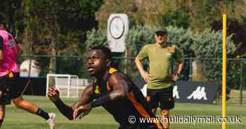 Hull City chief discusses ongoing transfer interest in Tim Walter's squad