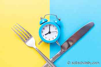 What Time Do You Eat? Recent Research Reveals That It Can Impact Your Overall Health