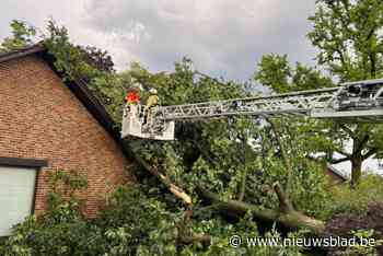 180 brandweeroproepen voor stormschade in Limburg, vooral in het centrum