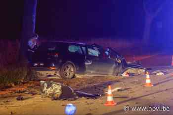 Man overlijdt bij zware klap tegen boom in Bilzen