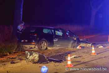 Man overleden na zware klap tegen boom