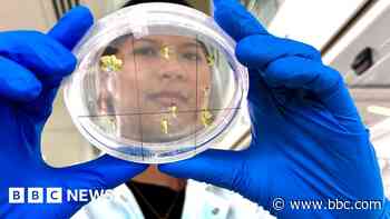 Why should the new government spend money on science?