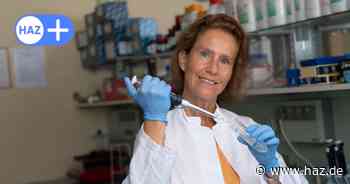 Corona und Erkältungsviren: Europameisterschaft hat Ansteckung gefördert