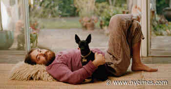 Alex Izenberg Was Almost a Teen Rock Star. His Second Chance Is Here.