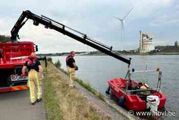 Duikers van brandweer redden reebok uit Albertkanaal in Zolder