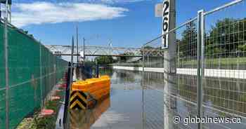 ‘We must take action’: Ontario storm spurs calls to better equip cities for extreme weather