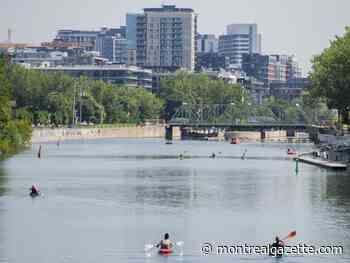 Montreal weather: A picture-perfect summer day