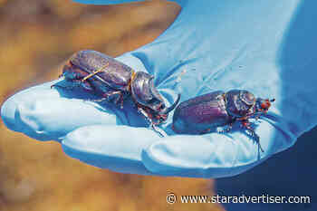 Hawaii agriculture agency welcomes record biosecurity funding