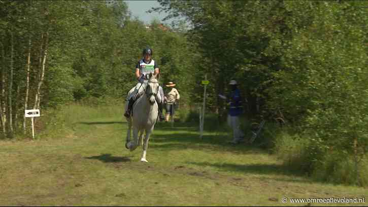 Bant - Blije gezichten bij herstart paardensportevenement: "Geweldig parcours"