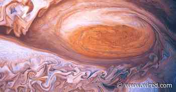 The Puzzle of How Large-Scale Order Emerges in Complex Systems